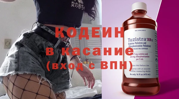 ГАЛЛЮЦИНОГЕННЫЕ ГРИБЫ Богданович