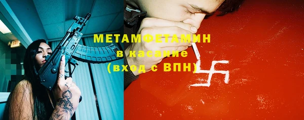 ГАЛЛЮЦИНОГЕННЫЕ ГРИБЫ Богданович