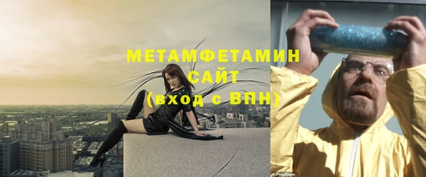 сатива Беломорск