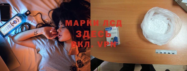 сатива Беломорск