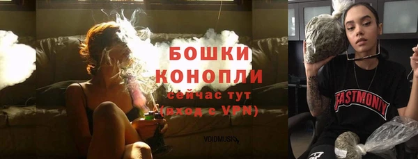 ГАЛЛЮЦИНОГЕННЫЕ ГРИБЫ Богданович
