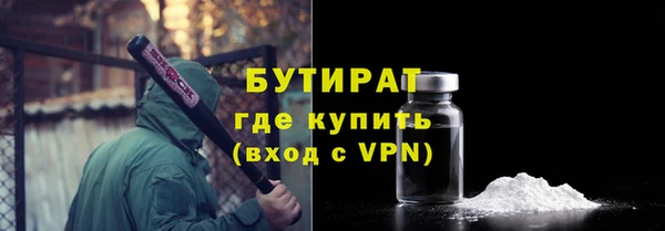 сатива Беломорск