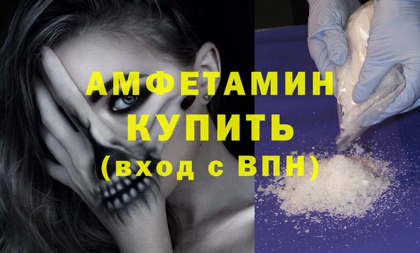 ГАЛЛЮЦИНОГЕННЫЕ ГРИБЫ Богданович
