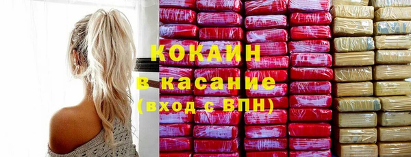 ГАЛЛЮЦИНОГЕННЫЕ ГРИБЫ Богданович