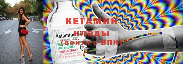 сатива Беломорск