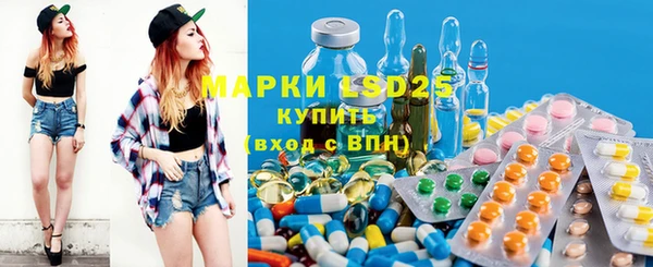 ГАЛЛЮЦИНОГЕННЫЕ ГРИБЫ Белокуриха