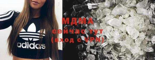 сатива Беломорск