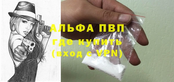 ГАЛЛЮЦИНОГЕННЫЕ ГРИБЫ Белокуриха