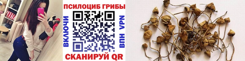 Галлюциногенные грибы ЛСД  купить  сайты  Тихвин 
